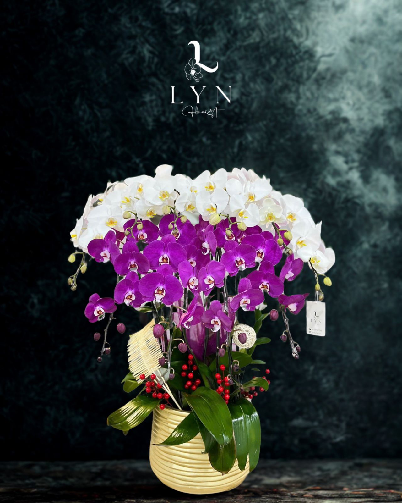 Chậu Hoa Lan Hồng Mới mix Lan Trắng V3